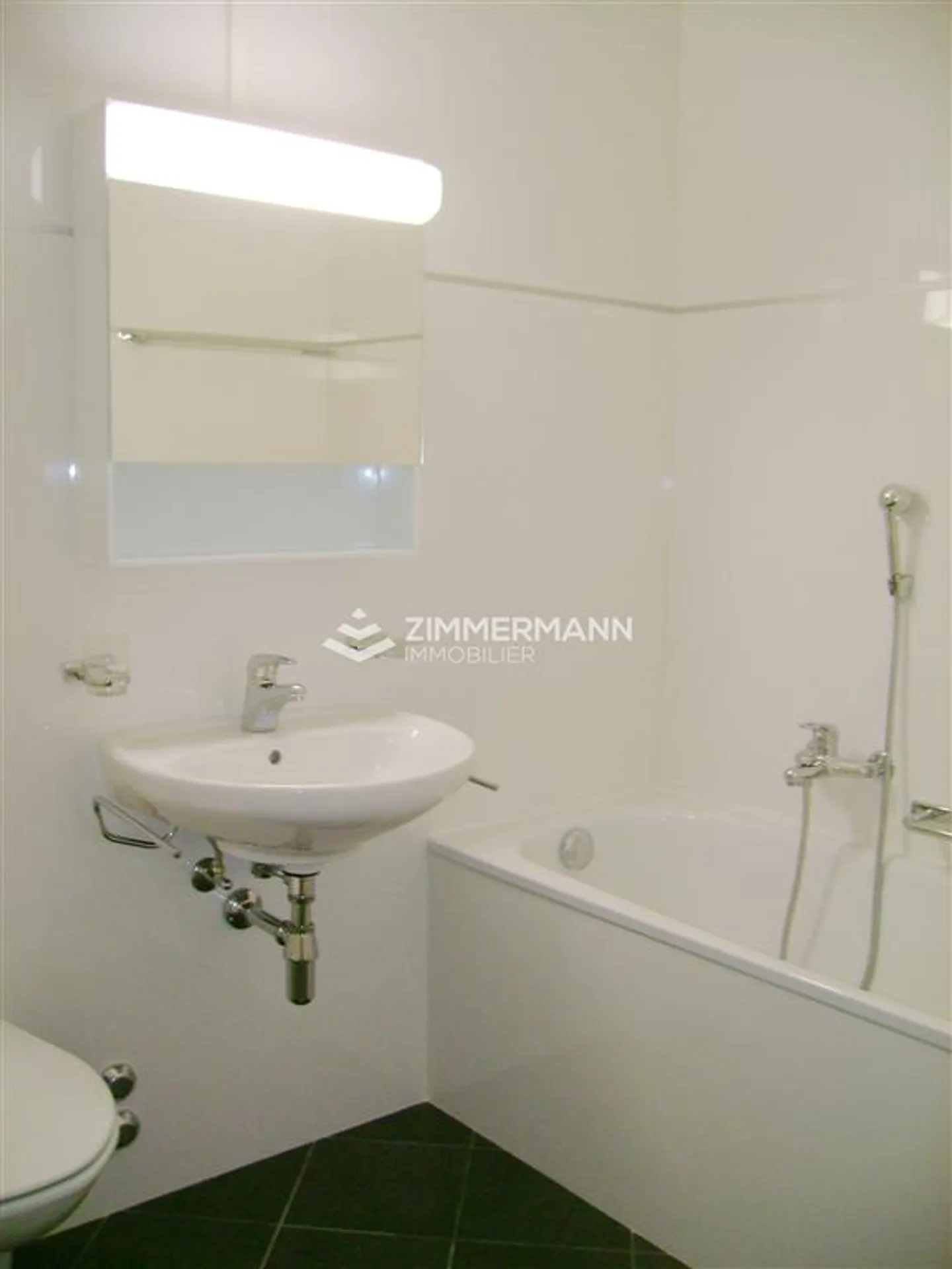 Charming 5-Room Apartment in Geneva - Photo 7 of 7