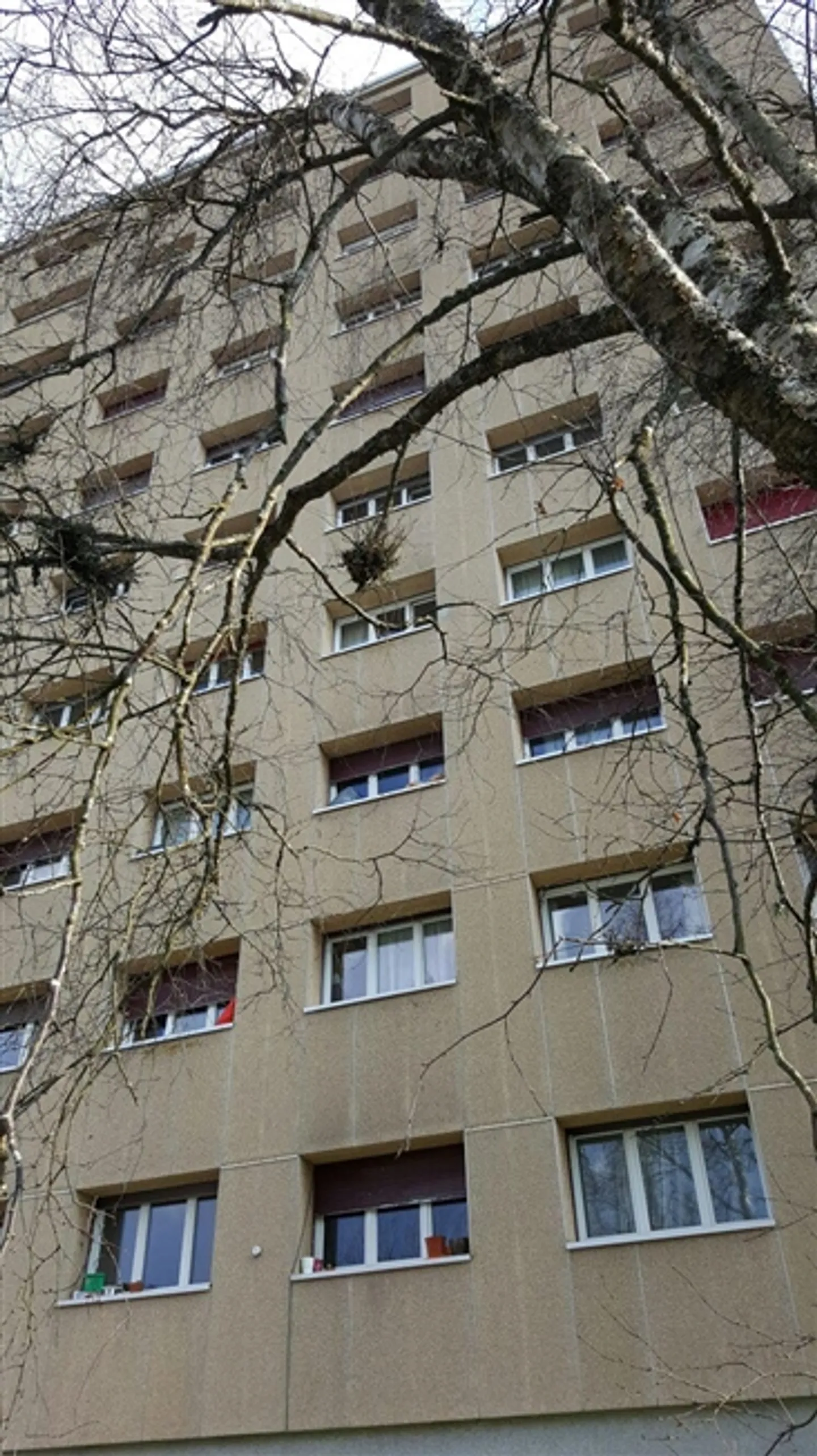 Appartamento - Foto 1 di 6