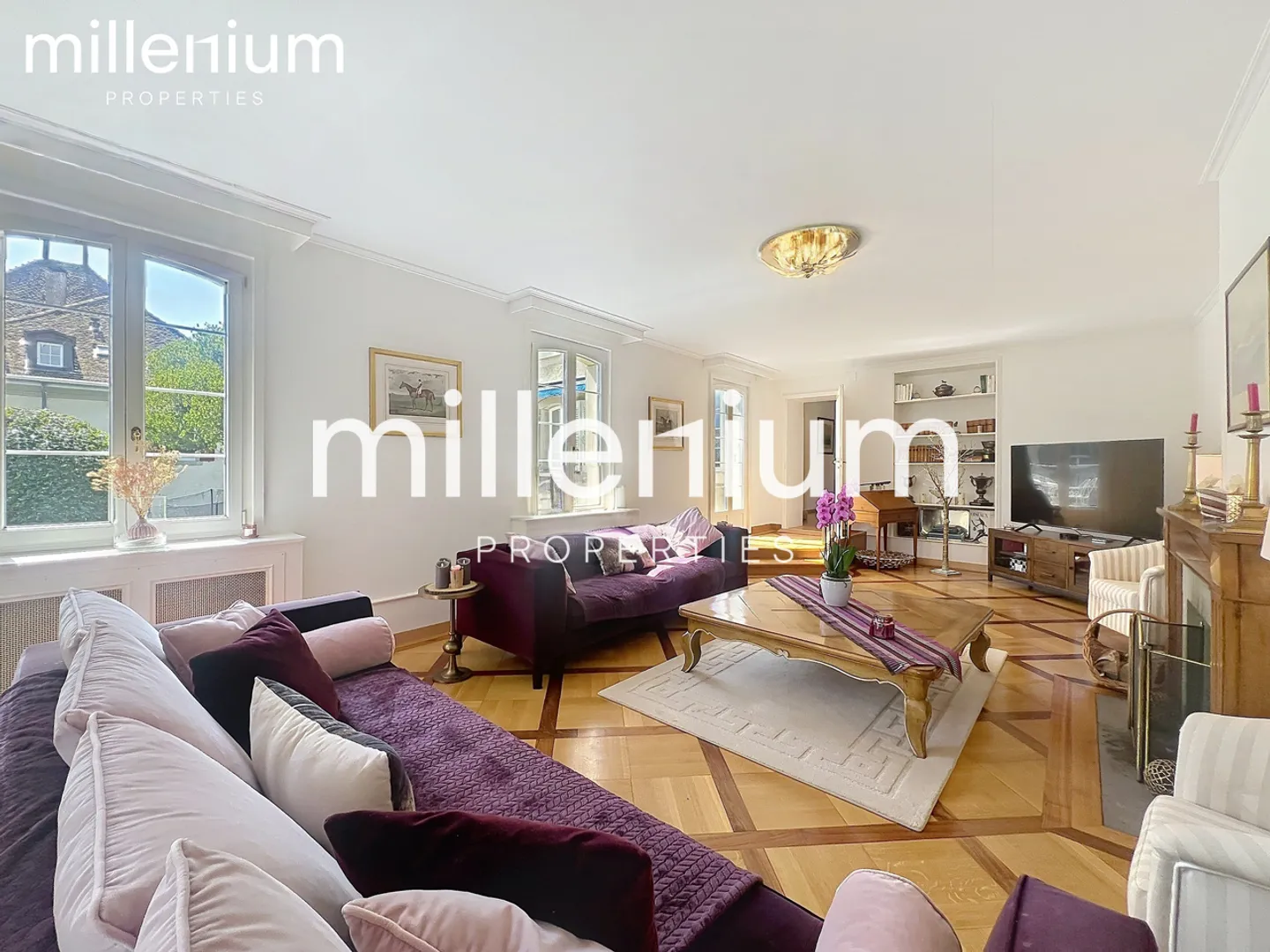 Character villa feet in the water in Coppet - Photo 3 of 19