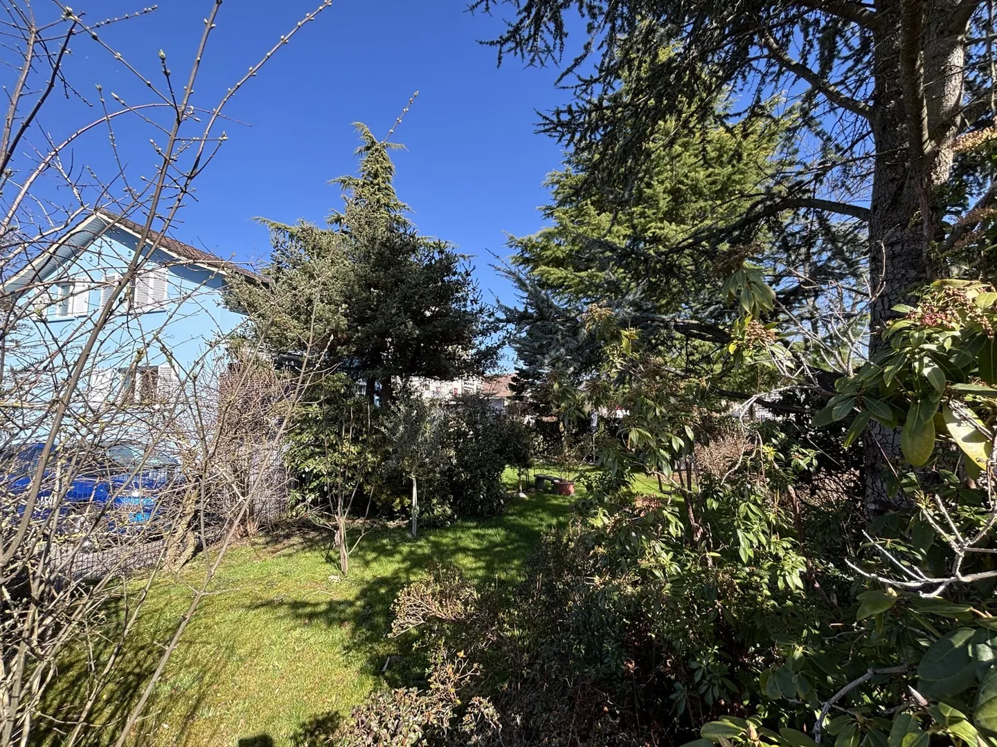 Cozy Home in a Central Prime Location - Photo 17 of 23