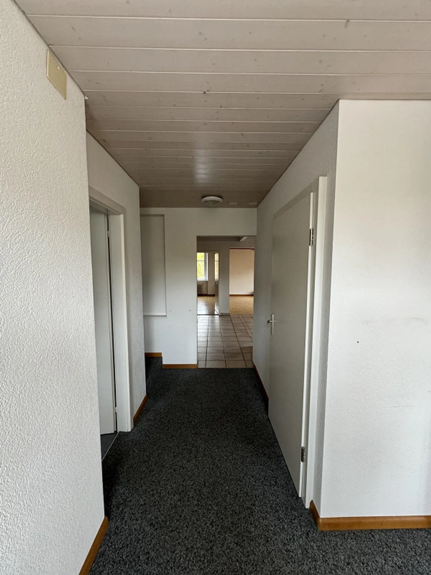 Bright 3.5 Room Apartment with Private Terrace - Photo 6 of 25