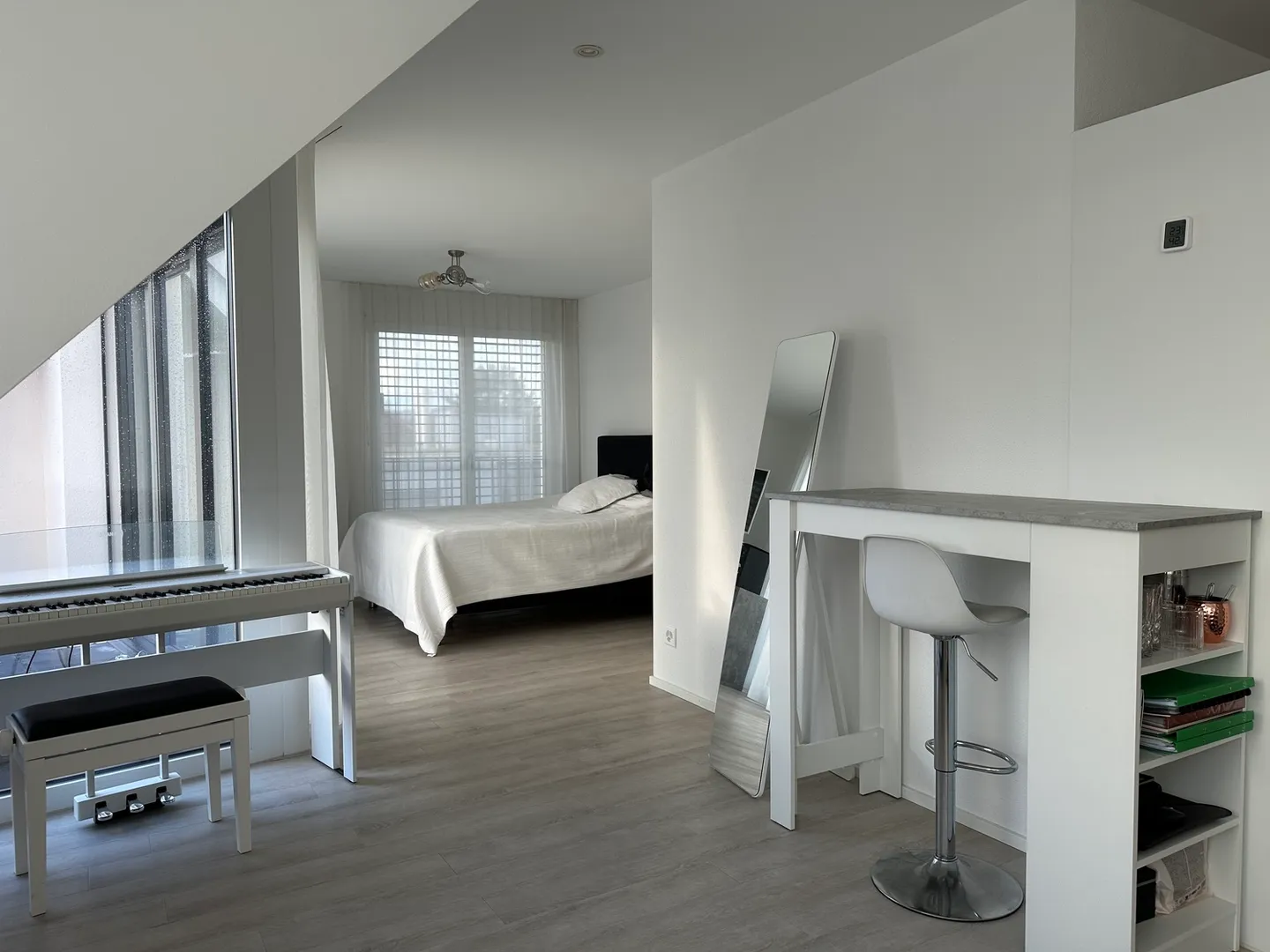 MONOLOCALE A ZURIGO - KREIS 9 ALTSTETTEN, ARREDATO, TEMPORANEO - Foto 3 di 10