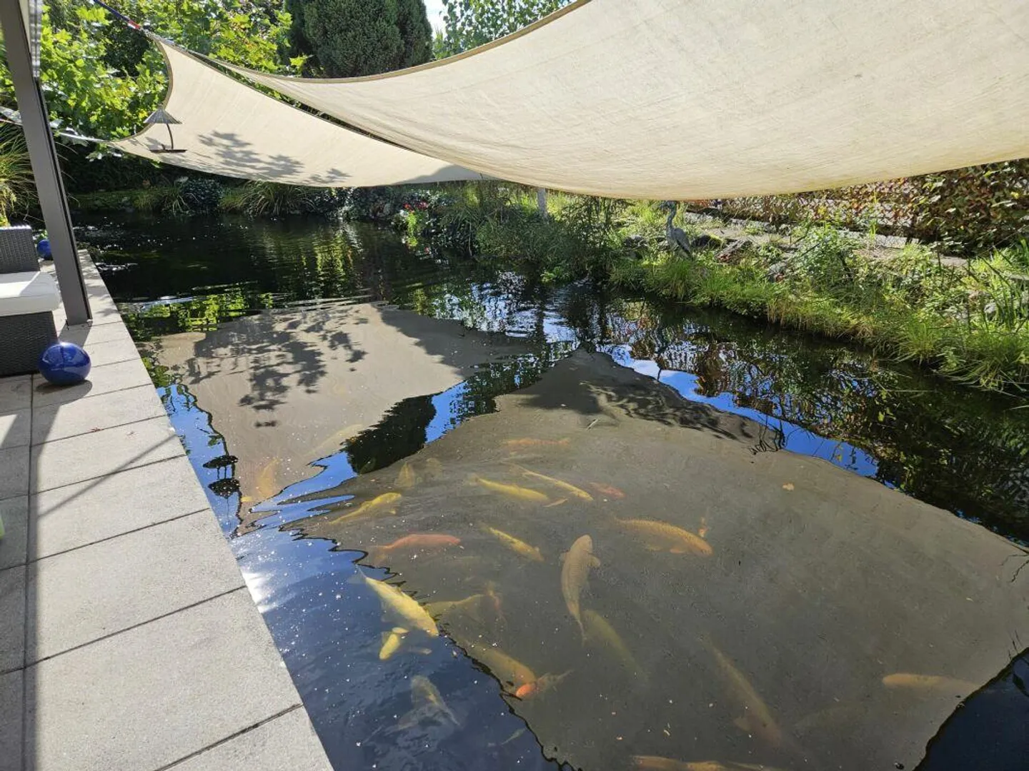 Casa da sogno nel verde cerca amanti - Foto 17 di 23