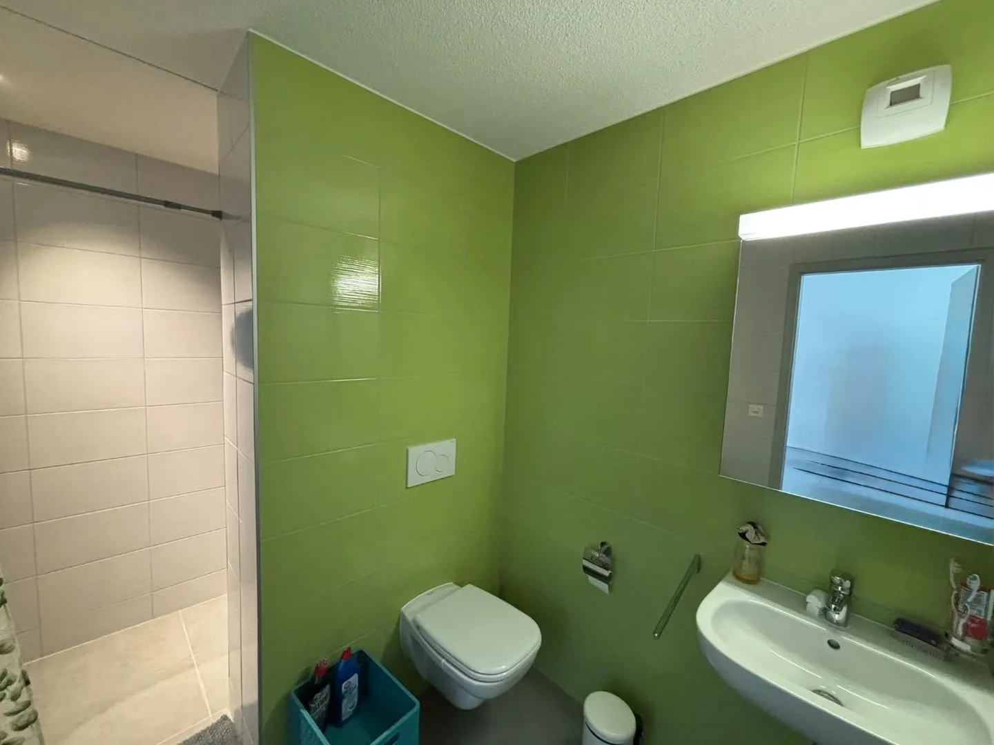 2.5 Room Apartment - Photo 4 of 6