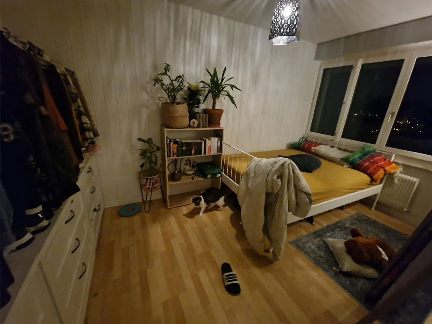 Recherche d'un nouveau locataire pour un bel appartement de 2 pièces avec jardin - Photo 2 sur 4