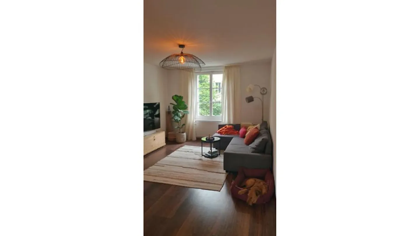 APPARTAMENTO 2½ STANZE A BERN - BREITENRAIN, ARREDATO, TEMPORANEO - Foto 1 di 6