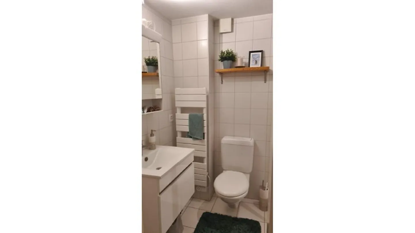APPARTAMENTO 2½ STANZE A BERN - BREITENRAIN, ARREDATO, TEMPORANEO - Foto 6 di 6