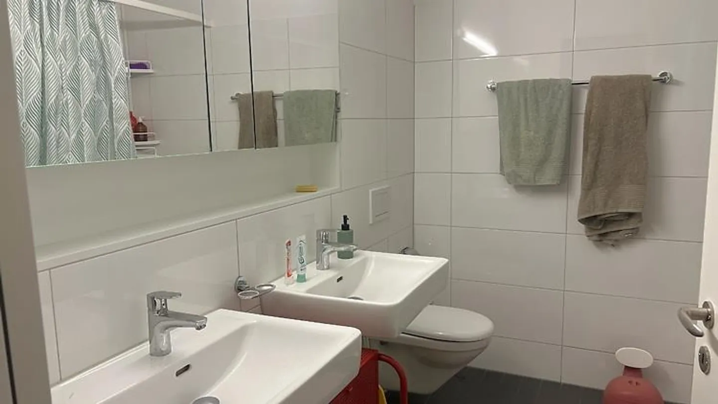 Gemütliche Möblierte Wohnung in Winterthur - Foto 8 von 10
