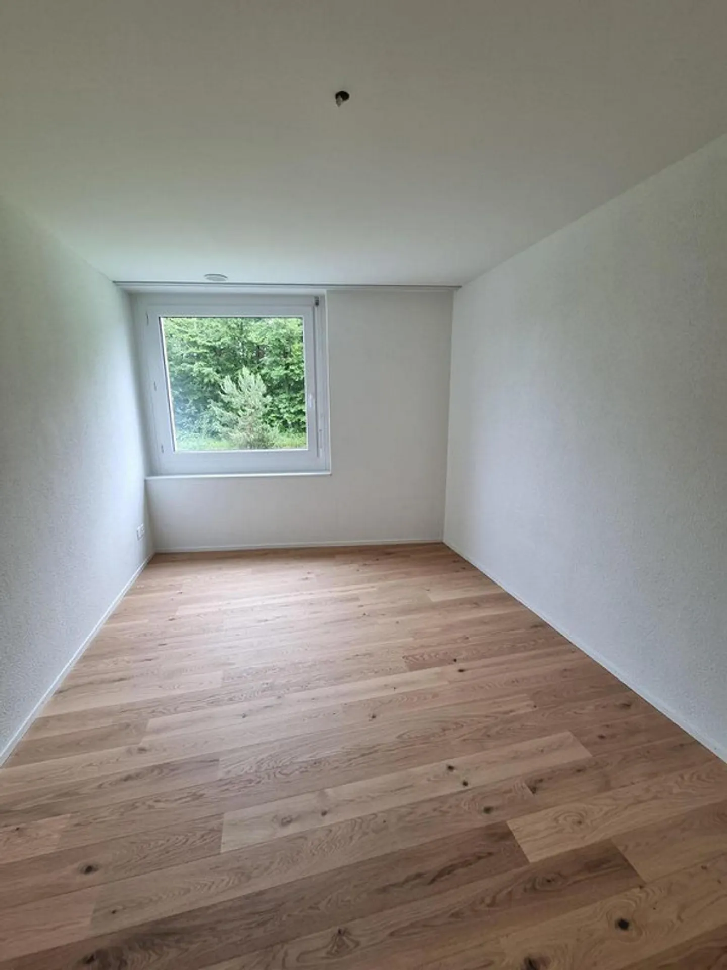 Modernes Apartment in Aarau - Foto 6 von 12