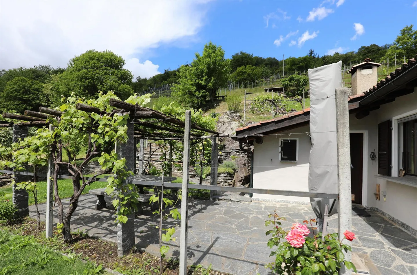 Charmantes Rustico mit Rebberg - Foto 1 von 17