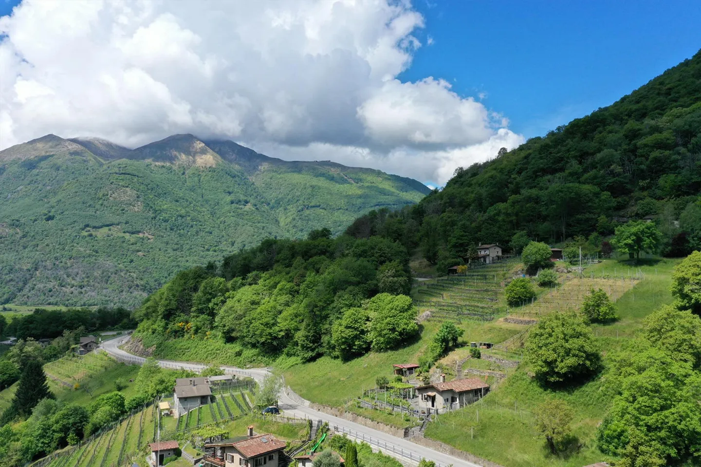 Charmantes Rustico mit Rebberg - Foto 3 von 17