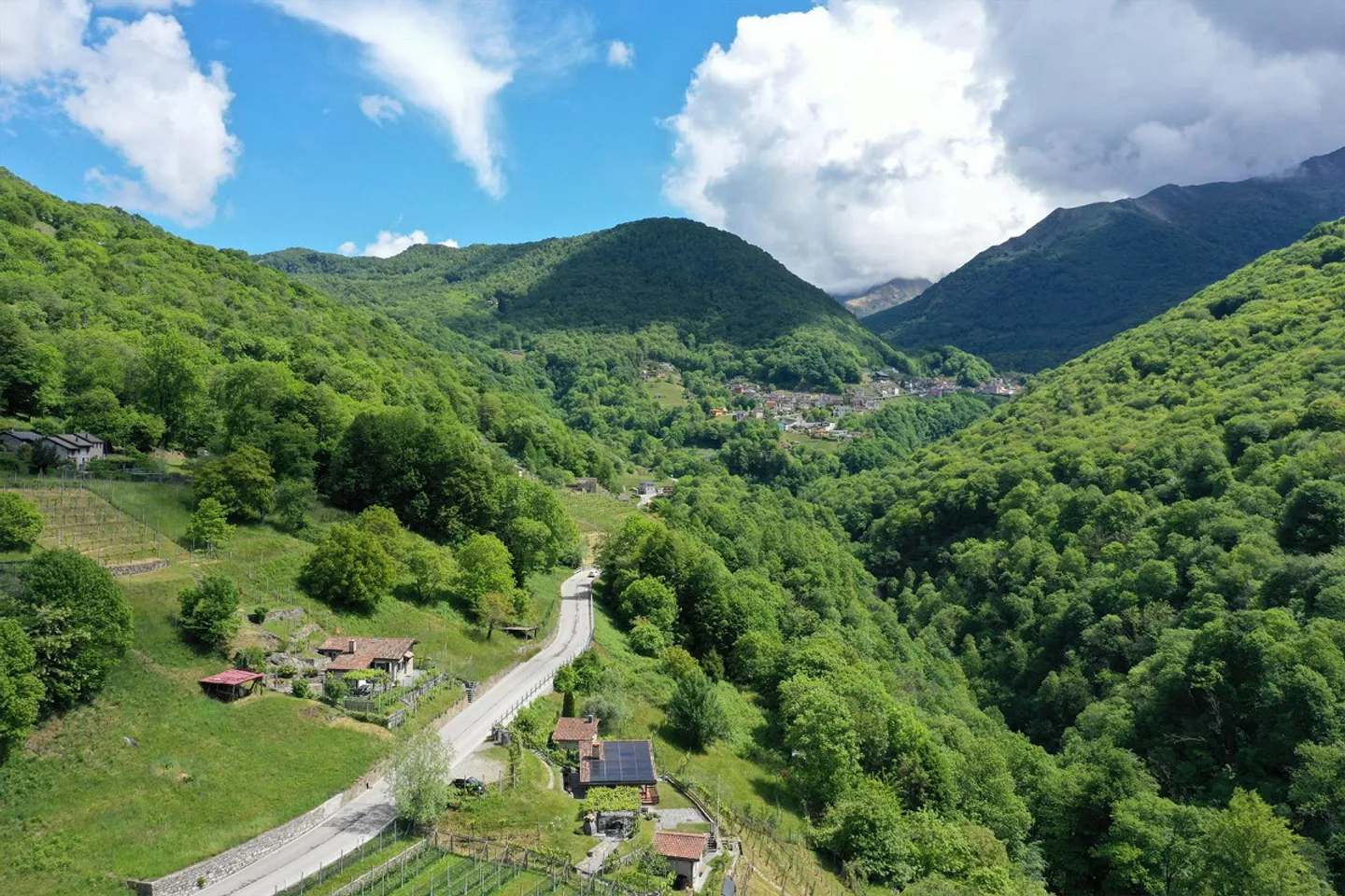 Charmantes Rustico mit Rebberg - Foto 16 von 17