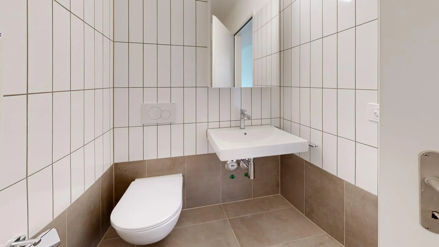 Time for a new home - freshly renovated 4.5 room apartments - Photo 10 of 11