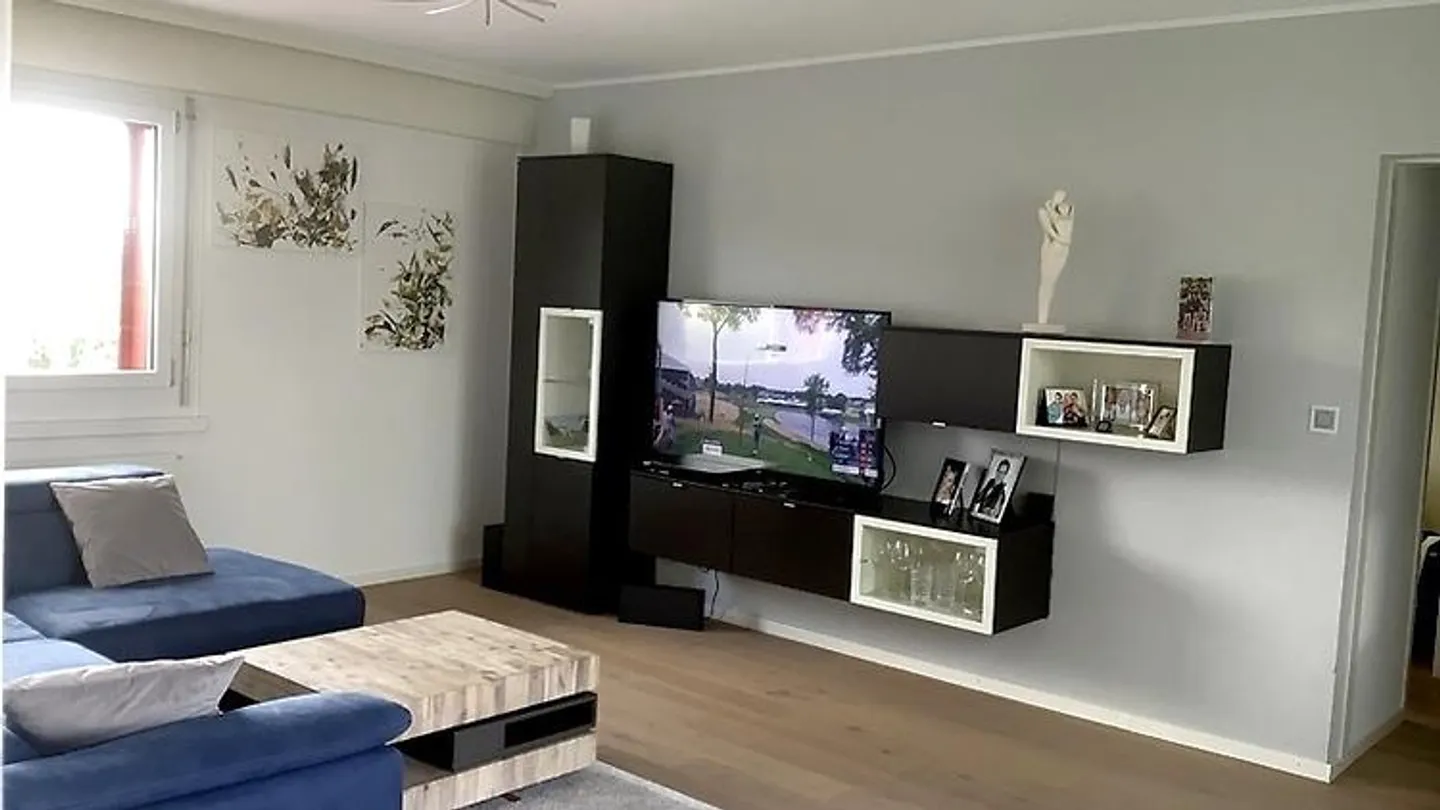 3½ ROOM ATTIC APARTMENT IN ADLIKON B. REGENSDORF (ZH), FURNISHED, TEMPO - Photo 1 of 10