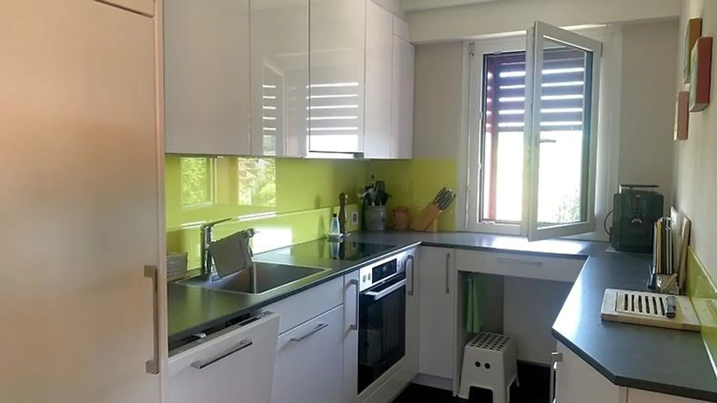 3½ ROOM ATTIC APARTMENT IN ADLIKON B. REGENSDORF (ZH), FURNISHED, TEMPO - Photo 3 of 10