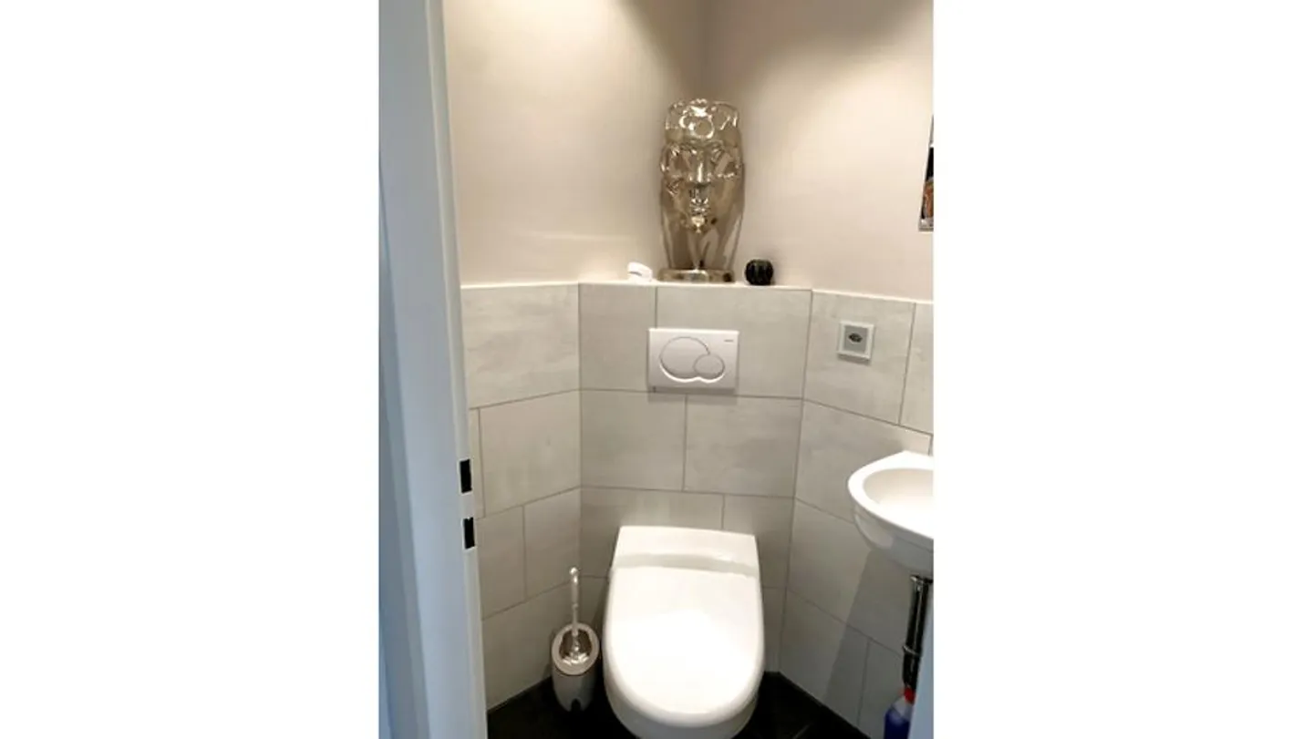 3½ ROOM ATTIC APARTMENT IN ADLIKON B. REGENSDORF (ZH), FURNISHED, TEMPO - Photo 9 of 10