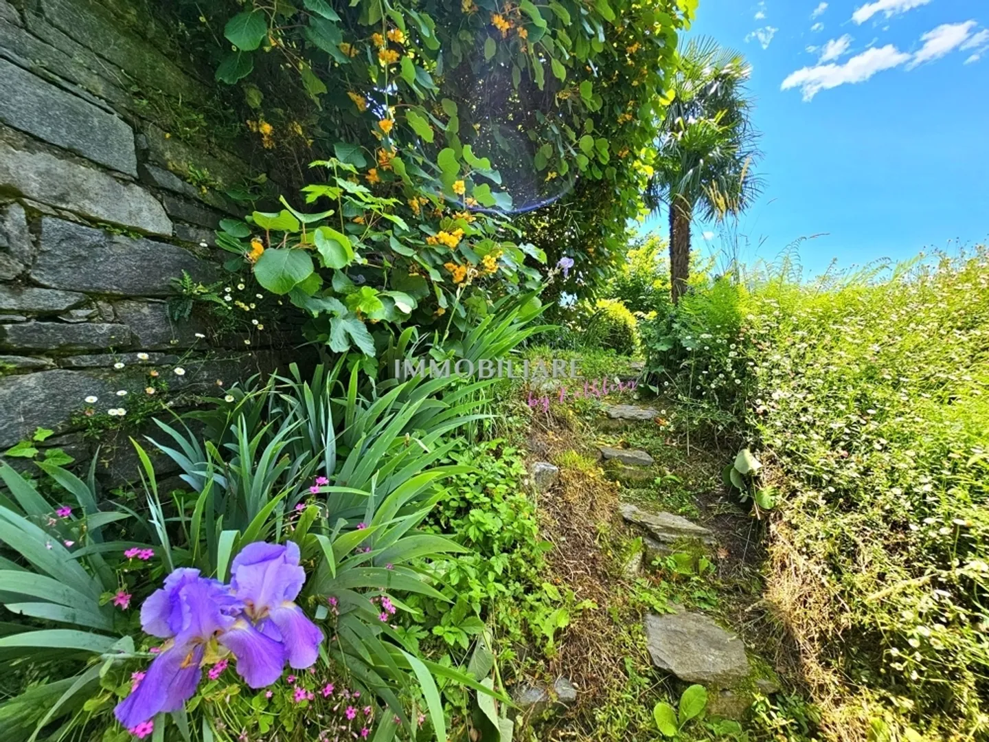 Single house for sale - Photo 4 of 13