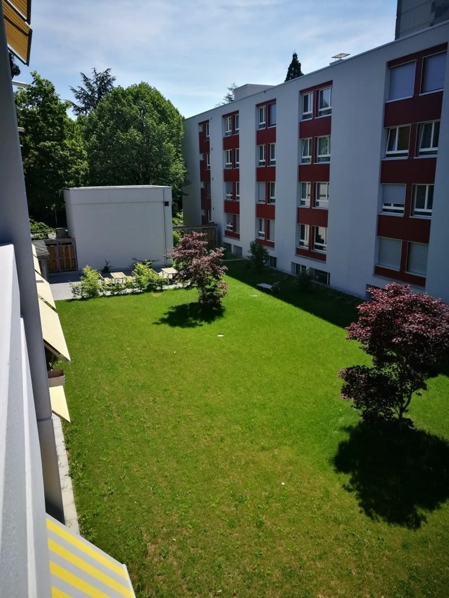 Appartamento Incantevole a Berna - Foto 7 di 7