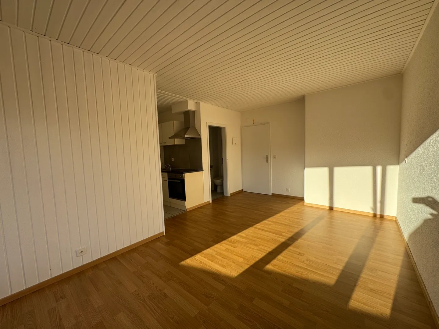Bright partially renovated studio - Photo 2 of 5