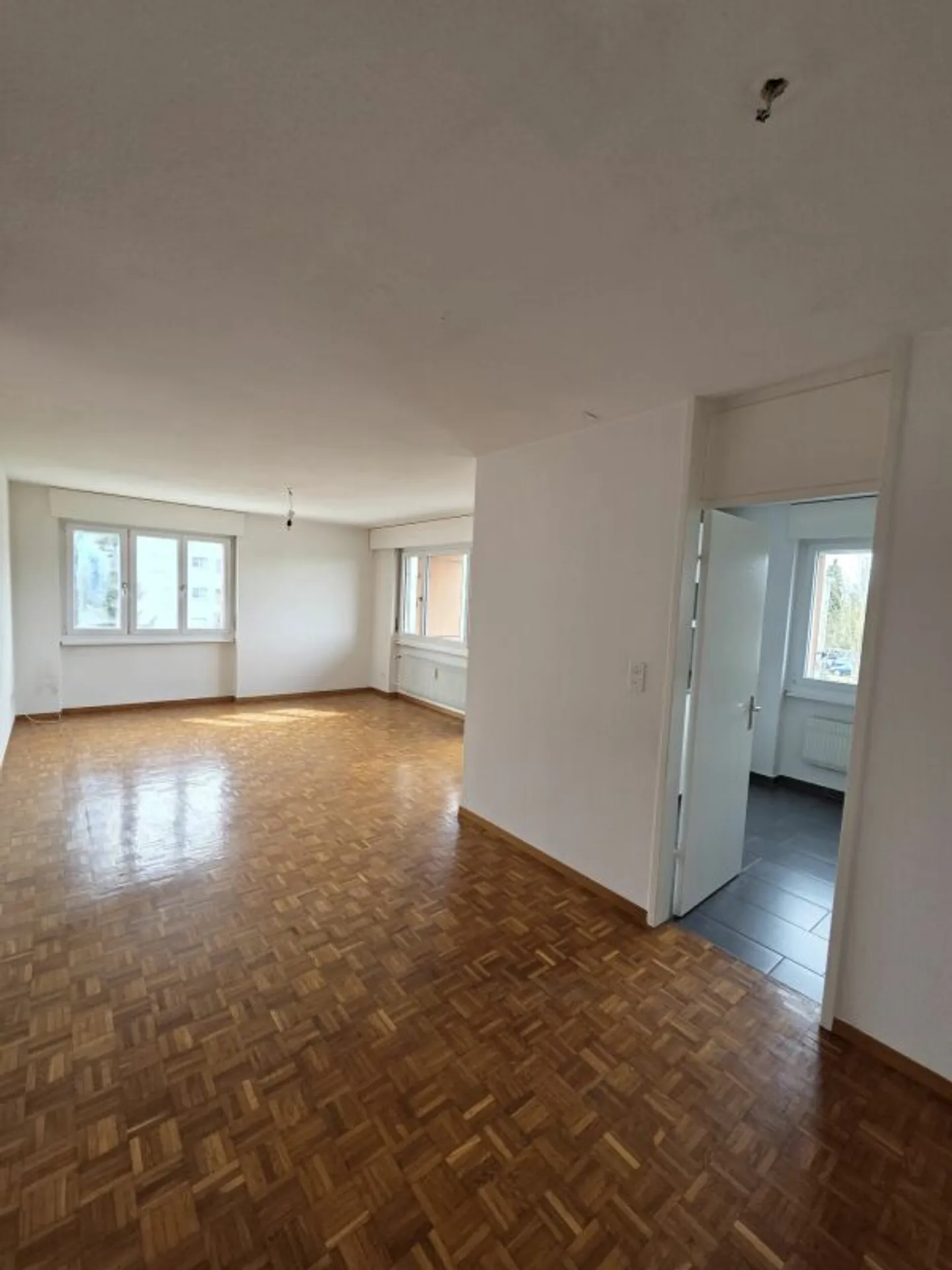 Ampio appartamento 4.5 locali - Foto 1 di 12