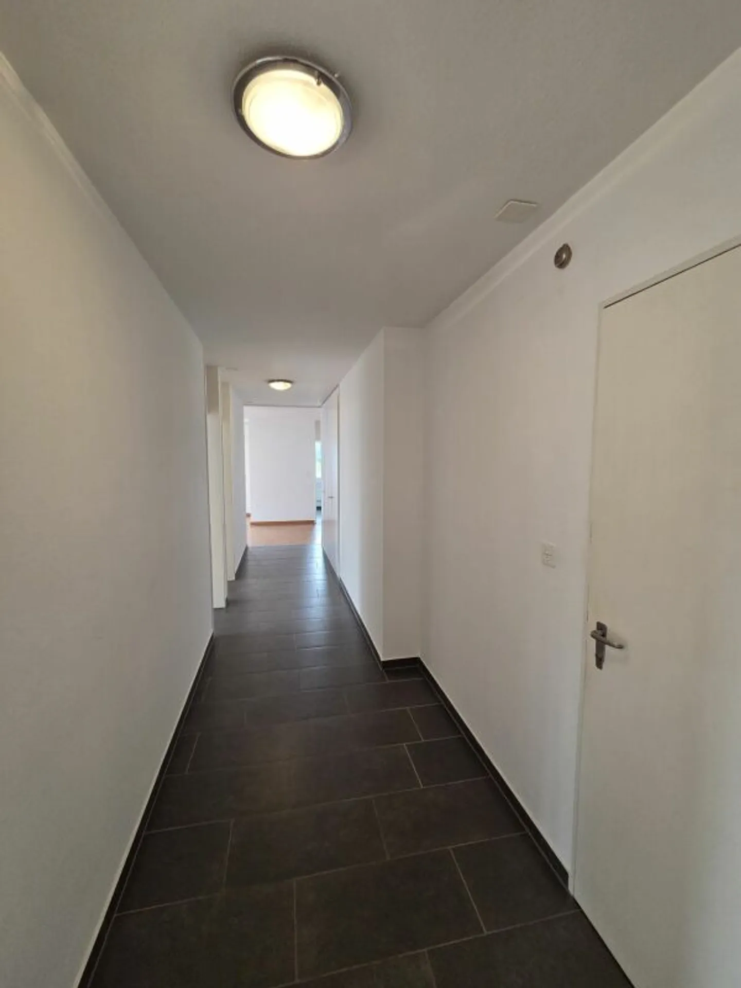 Ampio appartamento 4.5 locali - Foto 5 di 12