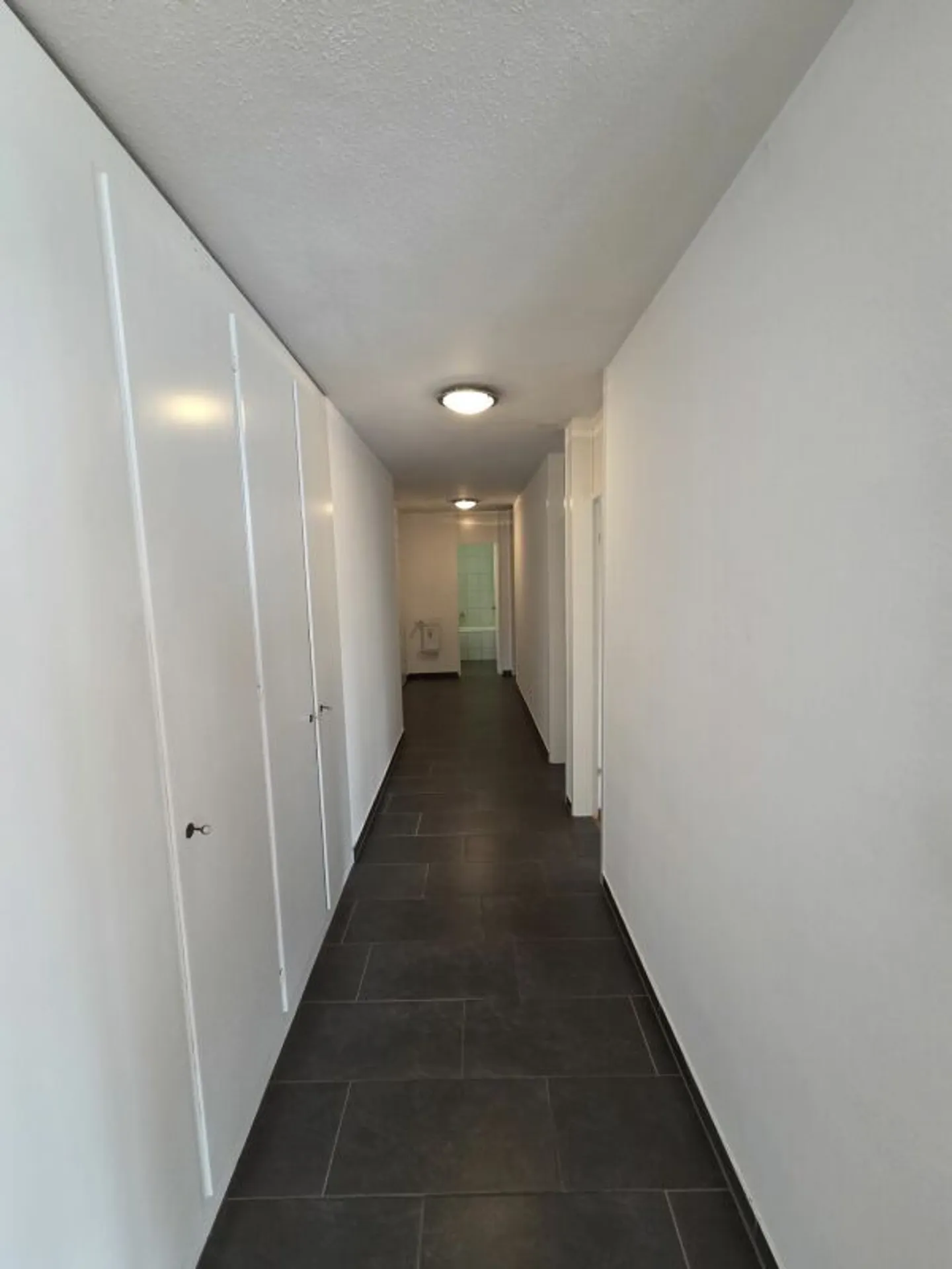 Ampio appartamento 4.5 locali - Foto 6 di 12