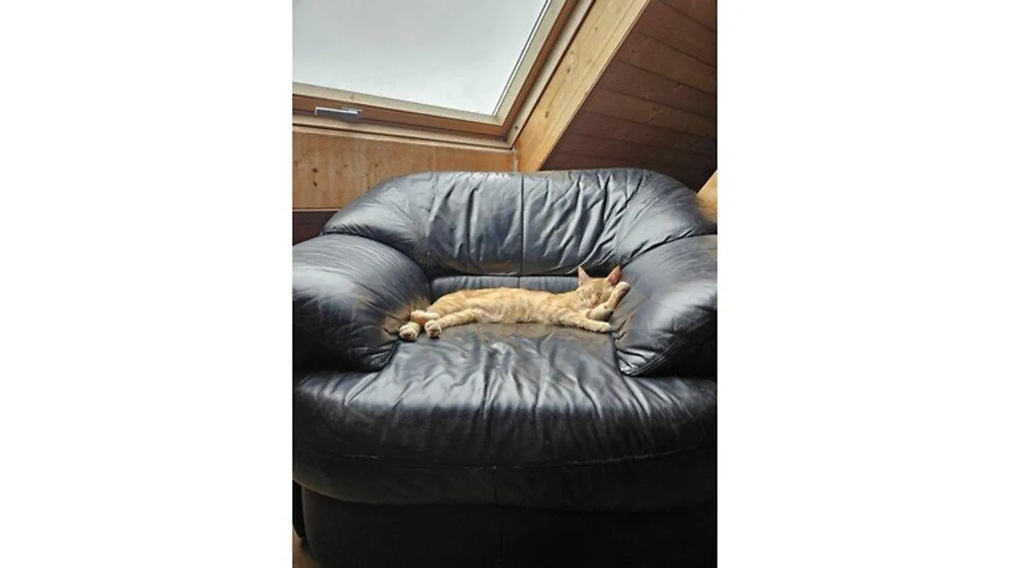 3½ ROOM HOUSE IN KLOTEN (ZH), FURNISHED, TEMPORARY - Photo 9 of 10