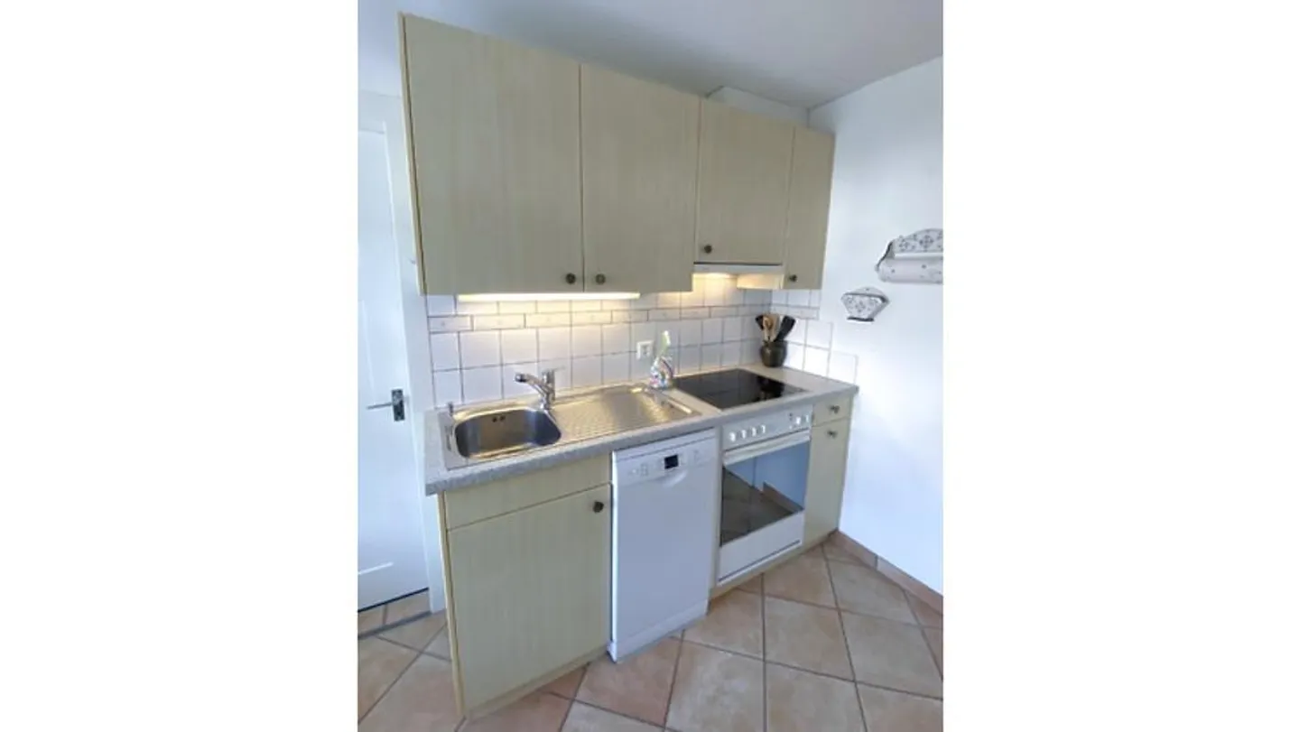 3 ROOM APARTMENT IN RICKENBACH SULZ (ZH), FURNISHED, TEMPORARY - Photo 3 of 8