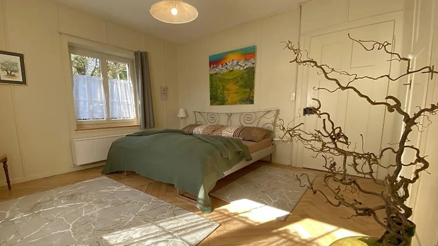 3 ROOM APARTMENT IN RICKENBACH SULZ (ZH), FURNISHED, TEMPORARY - Photo 5 of 8