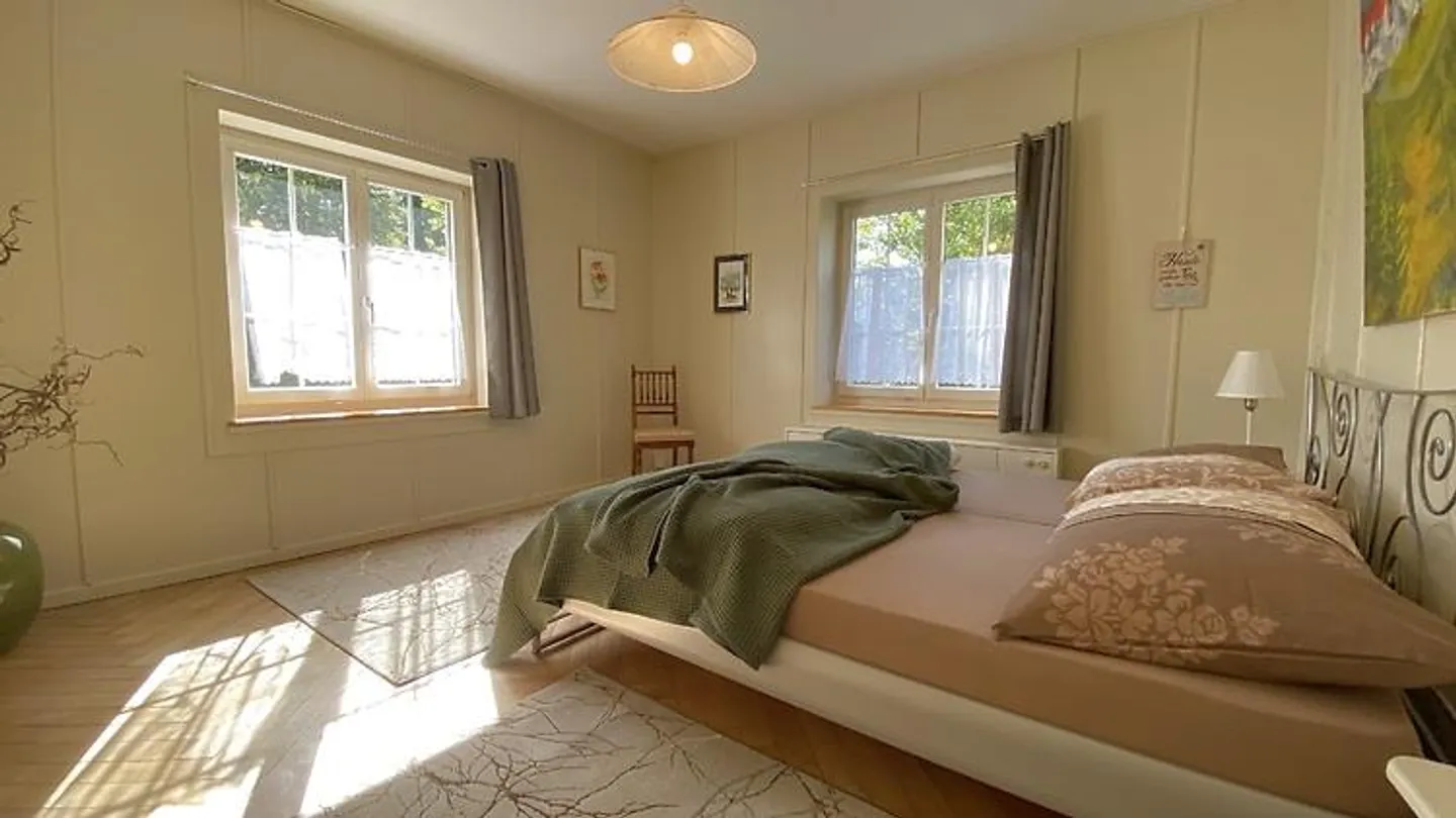 3 ROOM APARTMENT IN RICKENBACH SULZ (ZH), FURNISHED, TEMPORARY - Photo 6 of 8