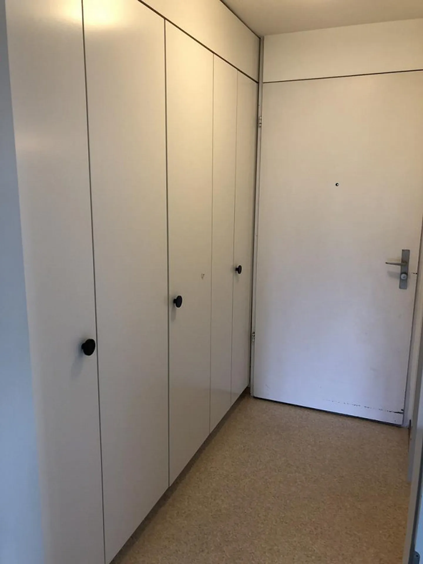 Charmantes Studio in Bern - Foto 5 von 5