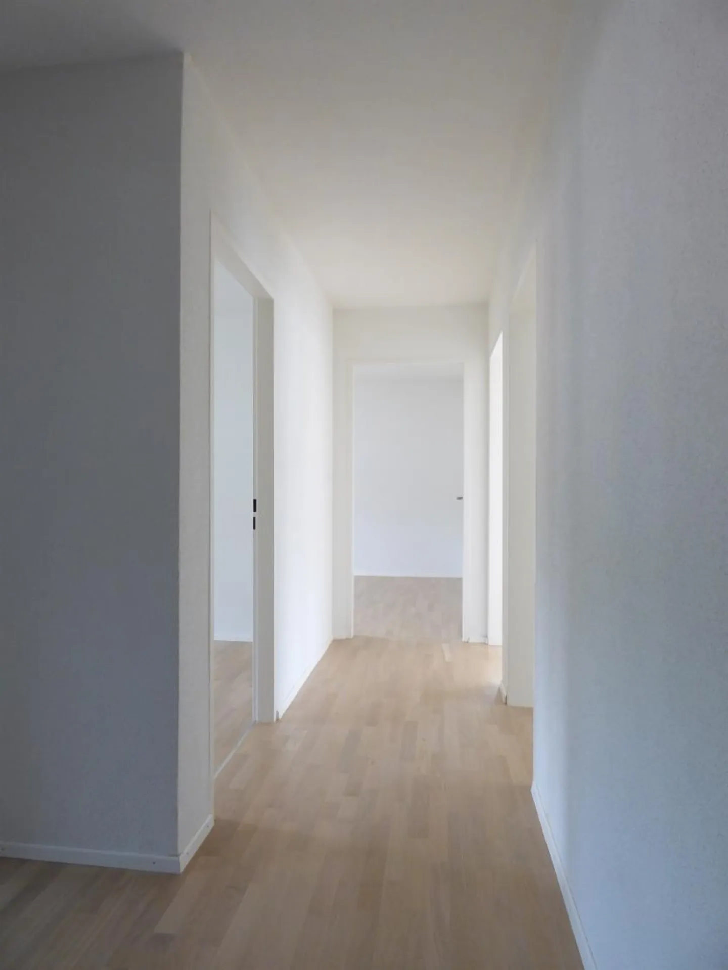Central Apartment Seeks New Tenants! - Photo 3 of 6