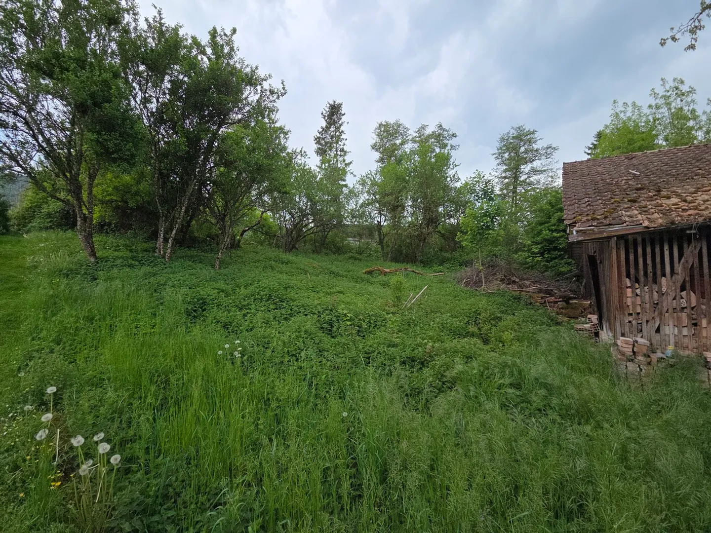 Opportunità di sviluppo a Glovelier - Foto 11 di 11