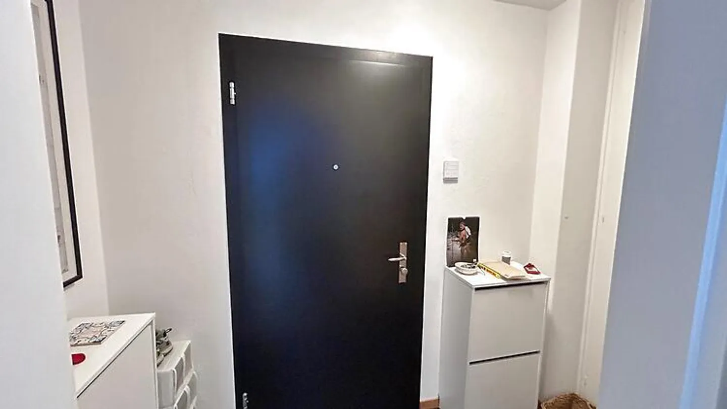 APPARTAMENTO 2 STANZE A BERN, ARREDATO, TEMPORANEO - Foto 7 di 7