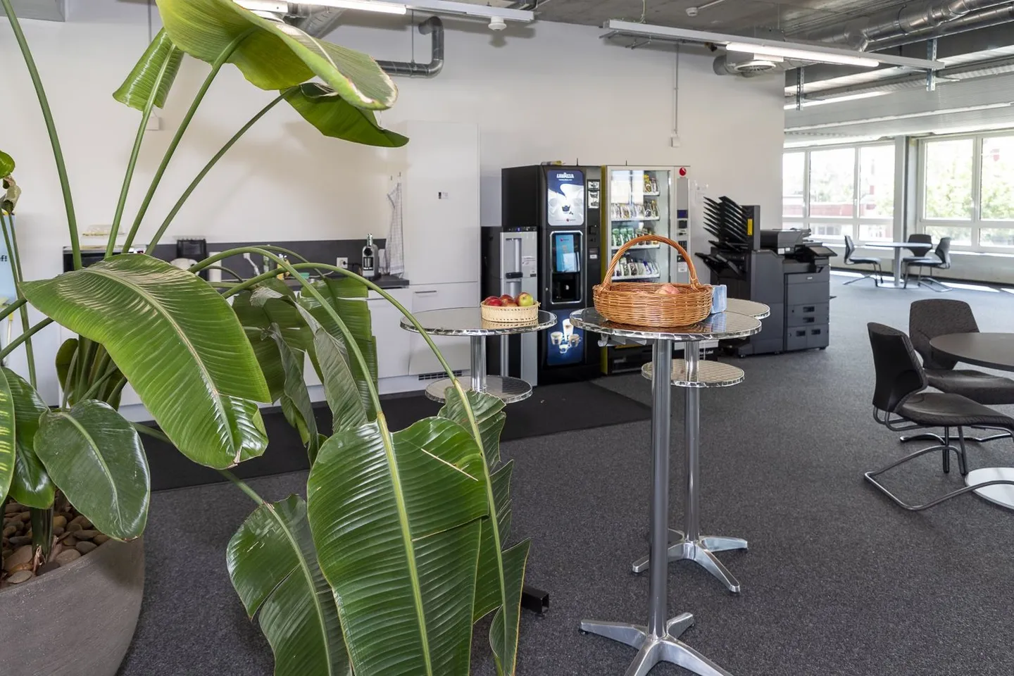 Bâtiment de bureaux commerciaux neufs et climatisés - Photo 8 sur 10
