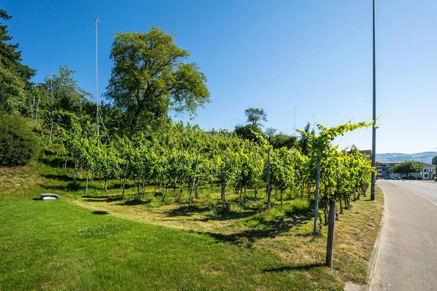 Bienvenue dans votre maison "am-wiberg.ch" - Photo 5 sur 6