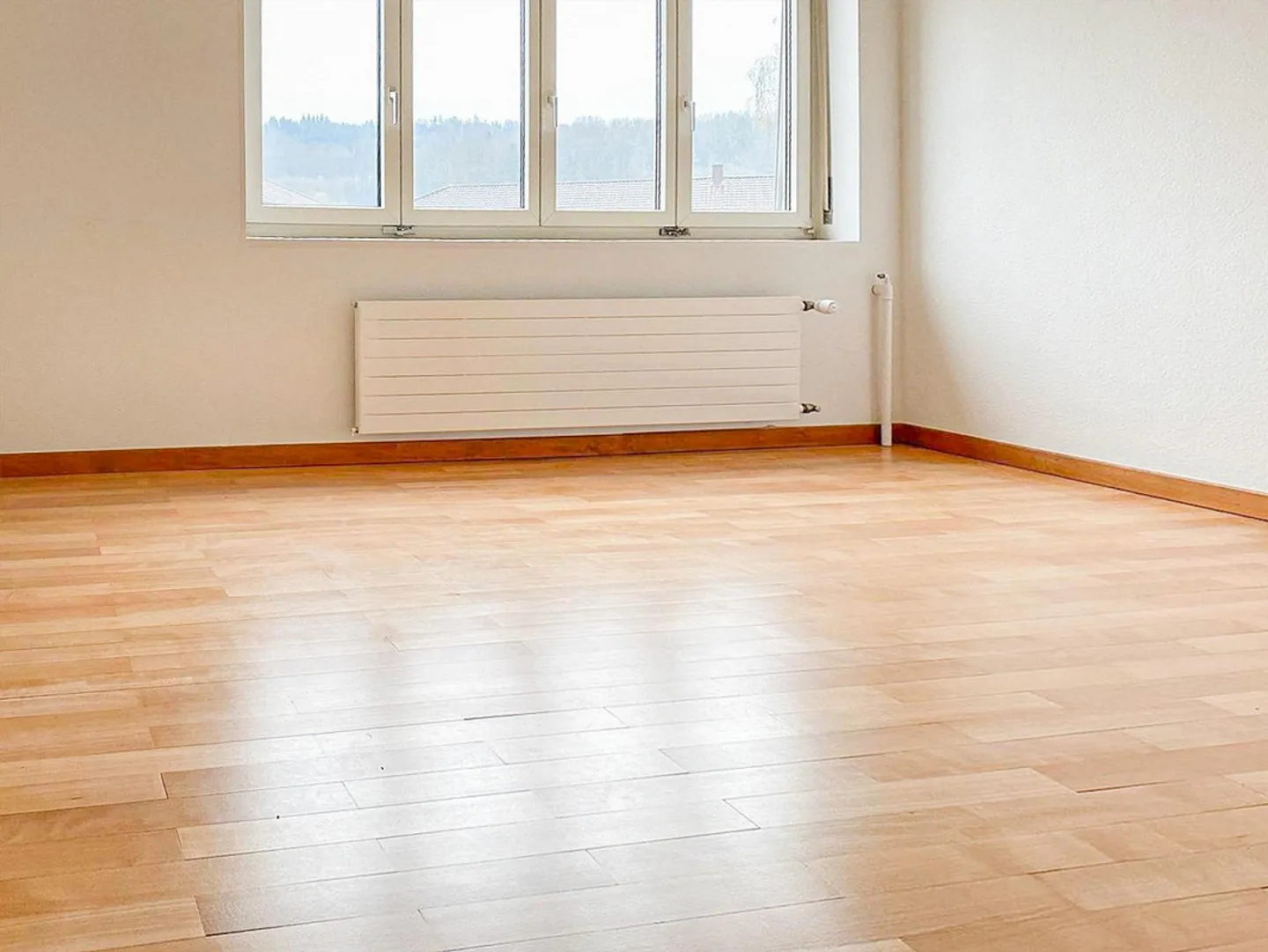 Sunny City Apartment - Photo 3 of 5