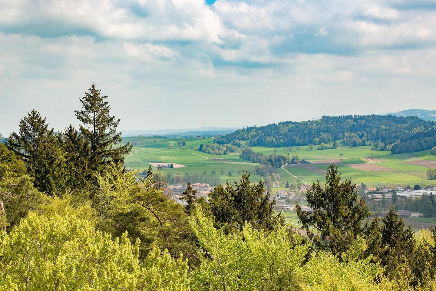 Appartement 3.5 pièces à Thundorf - Photo 12 sur 13