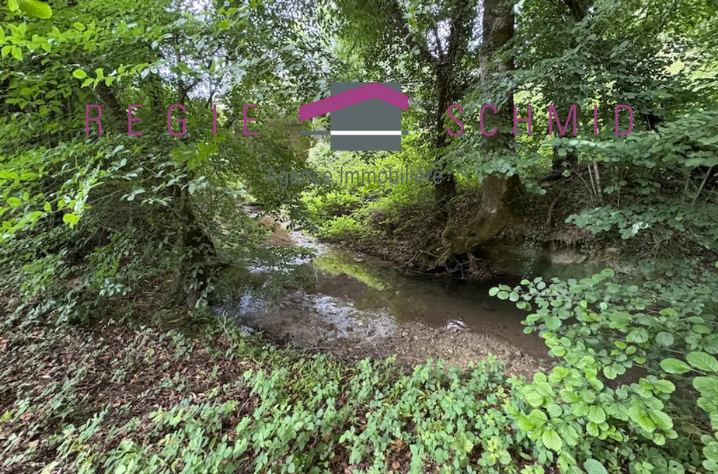 Fattoria 15 stanze - Foto 1 di 1