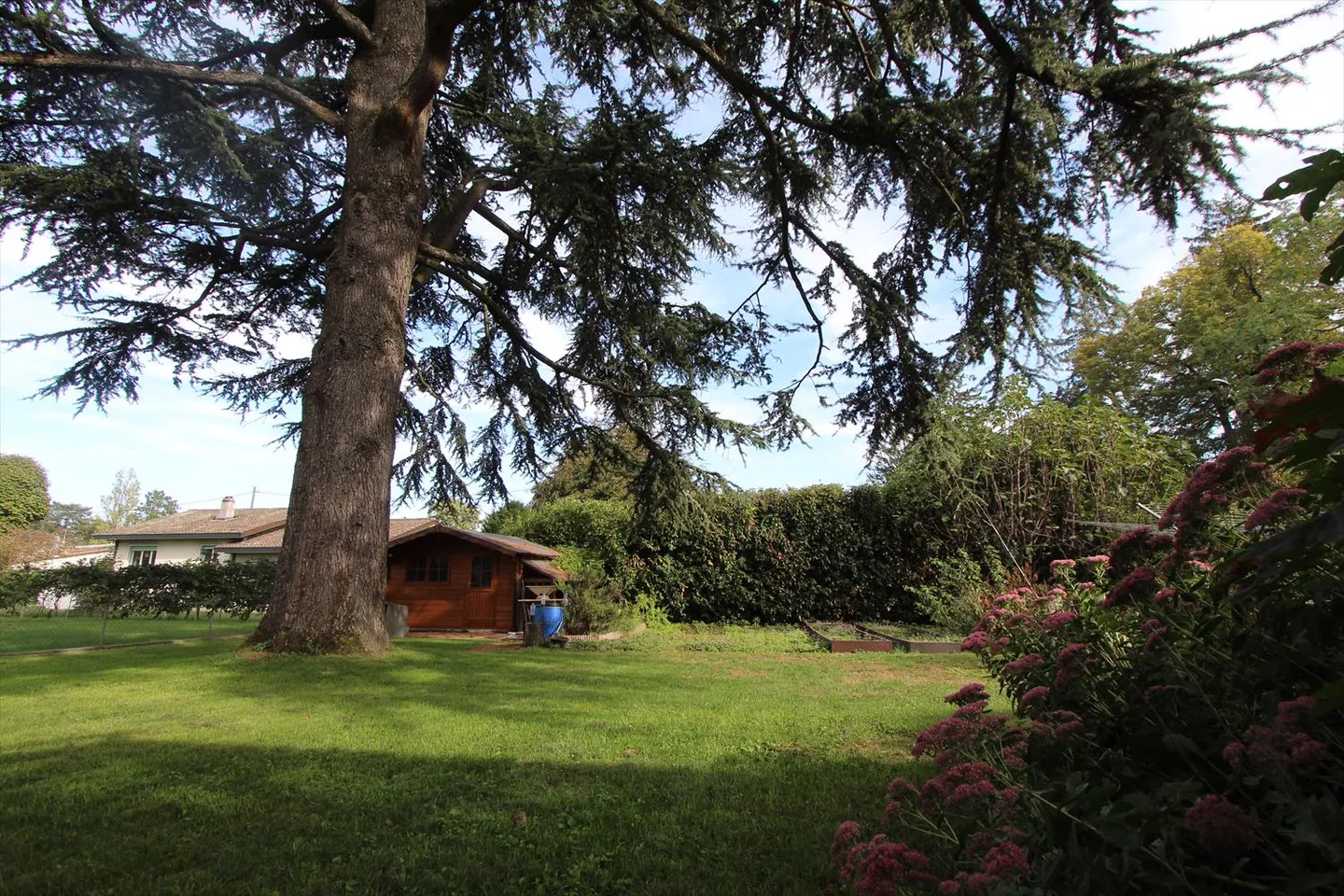 7-Zimmer-Haus - Foto 6 von 13