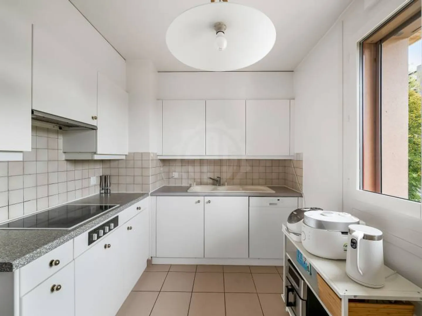 Charmant appartement - Genève - Photo 3 sur 9
