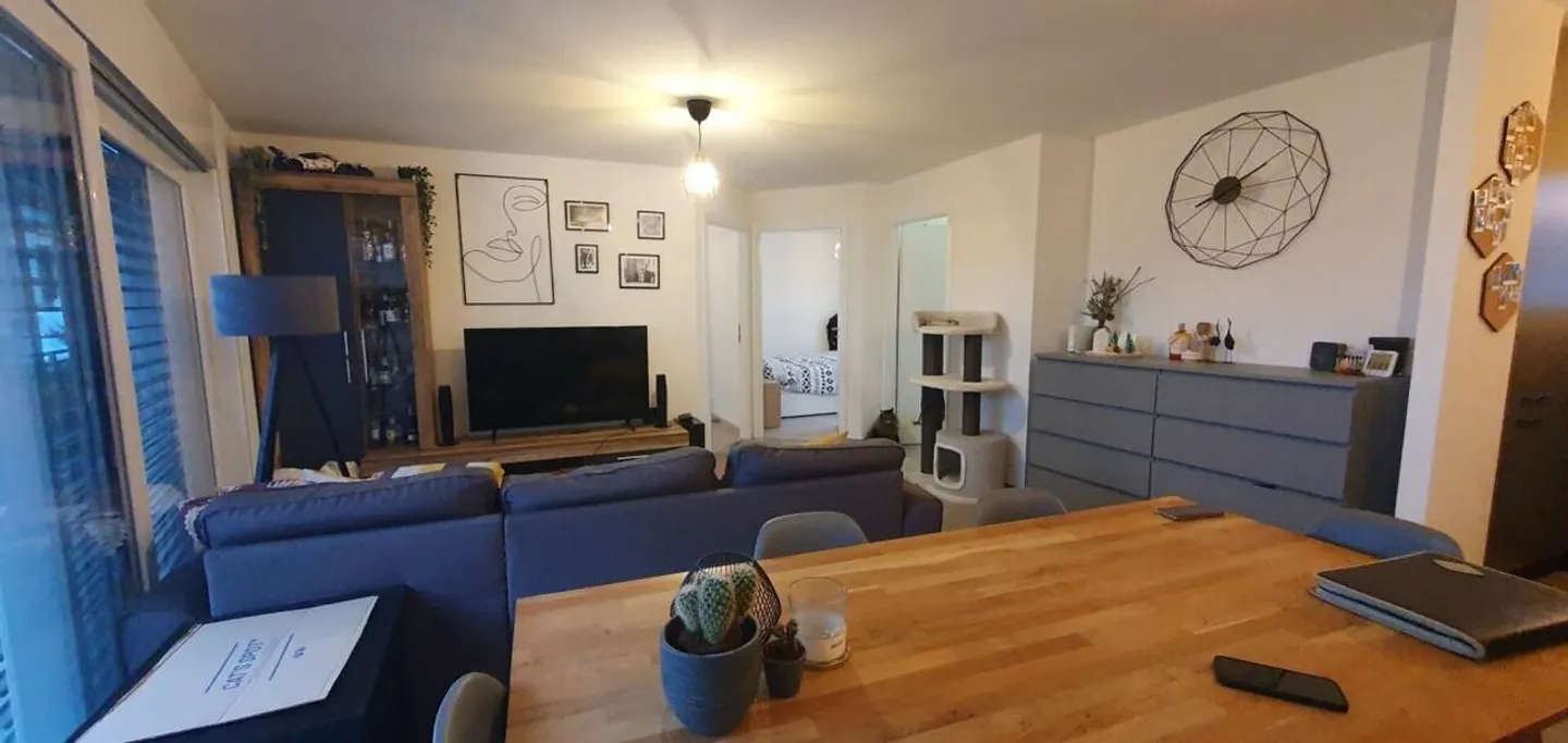 NEW - spacious 3.5 rooms bright apartment with parking spaces - Photo 2 of 7