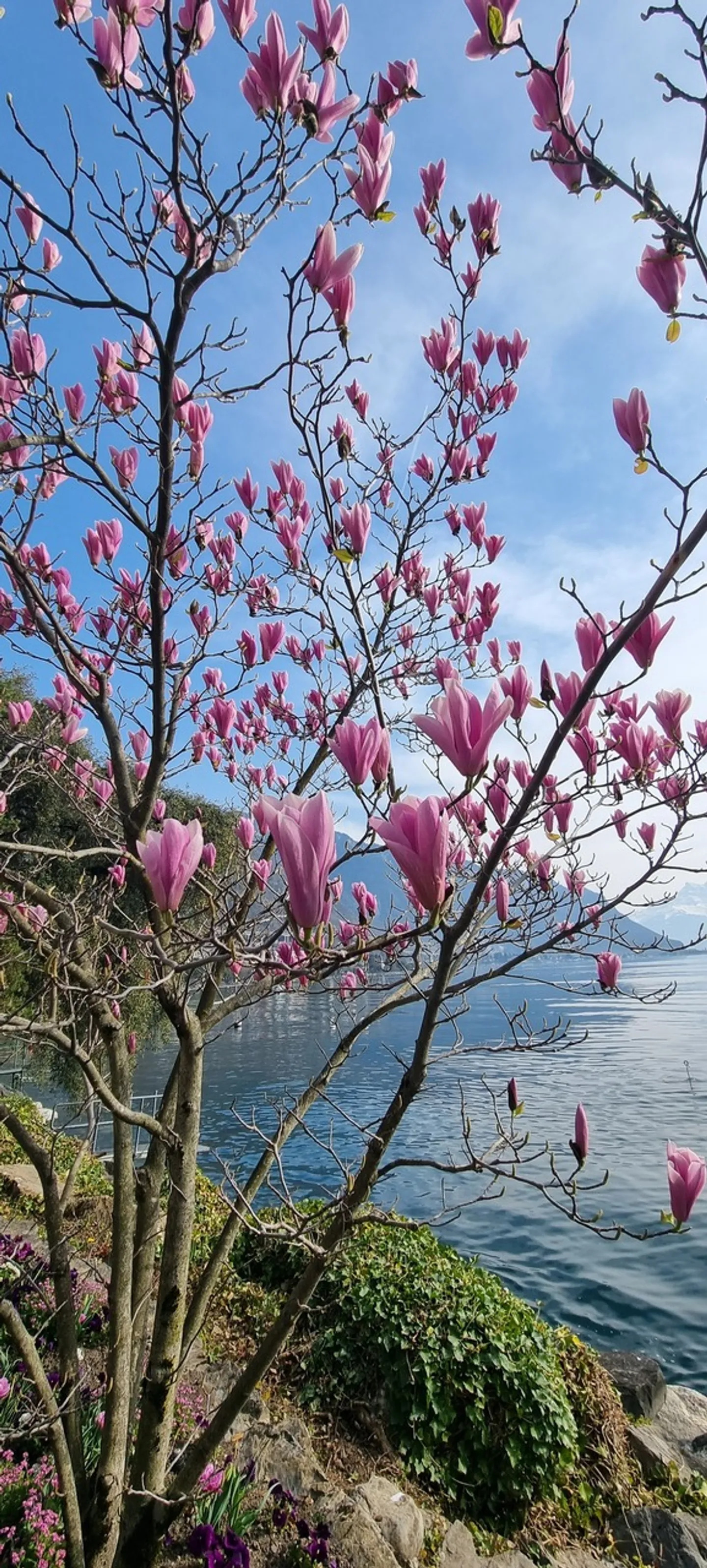 Appartamento Stupendo con Vista Lago - Foto 12 di 13