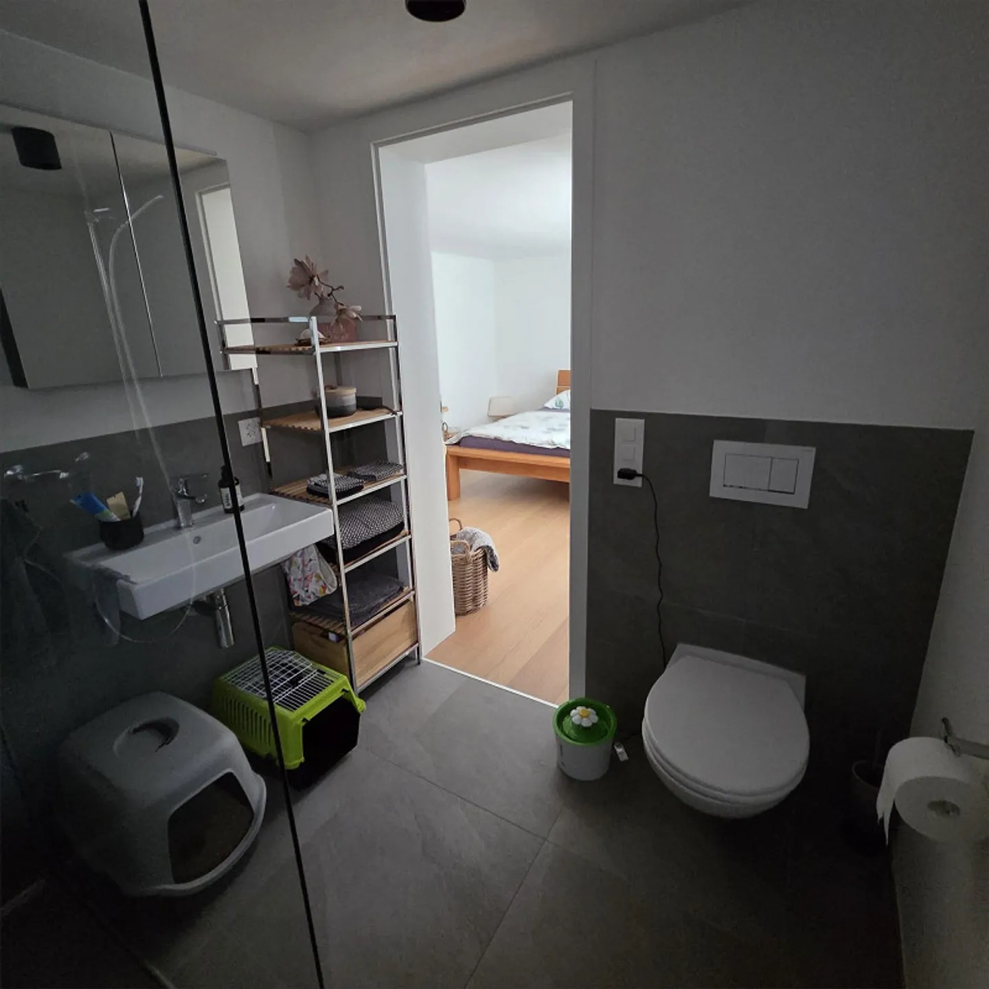 2.5 Room Apartment - Photo 4 of 4