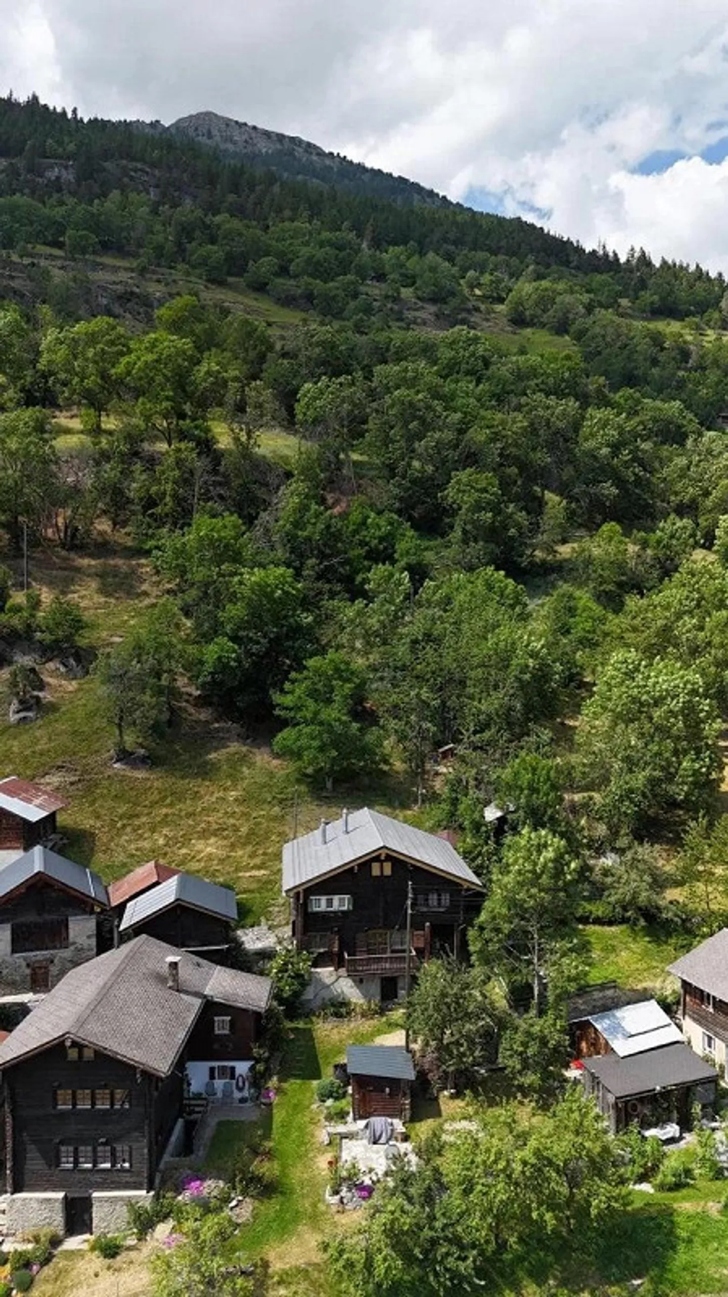 Oggetto per amatori a Birgisch sopra Naters - Foto 13 di 13