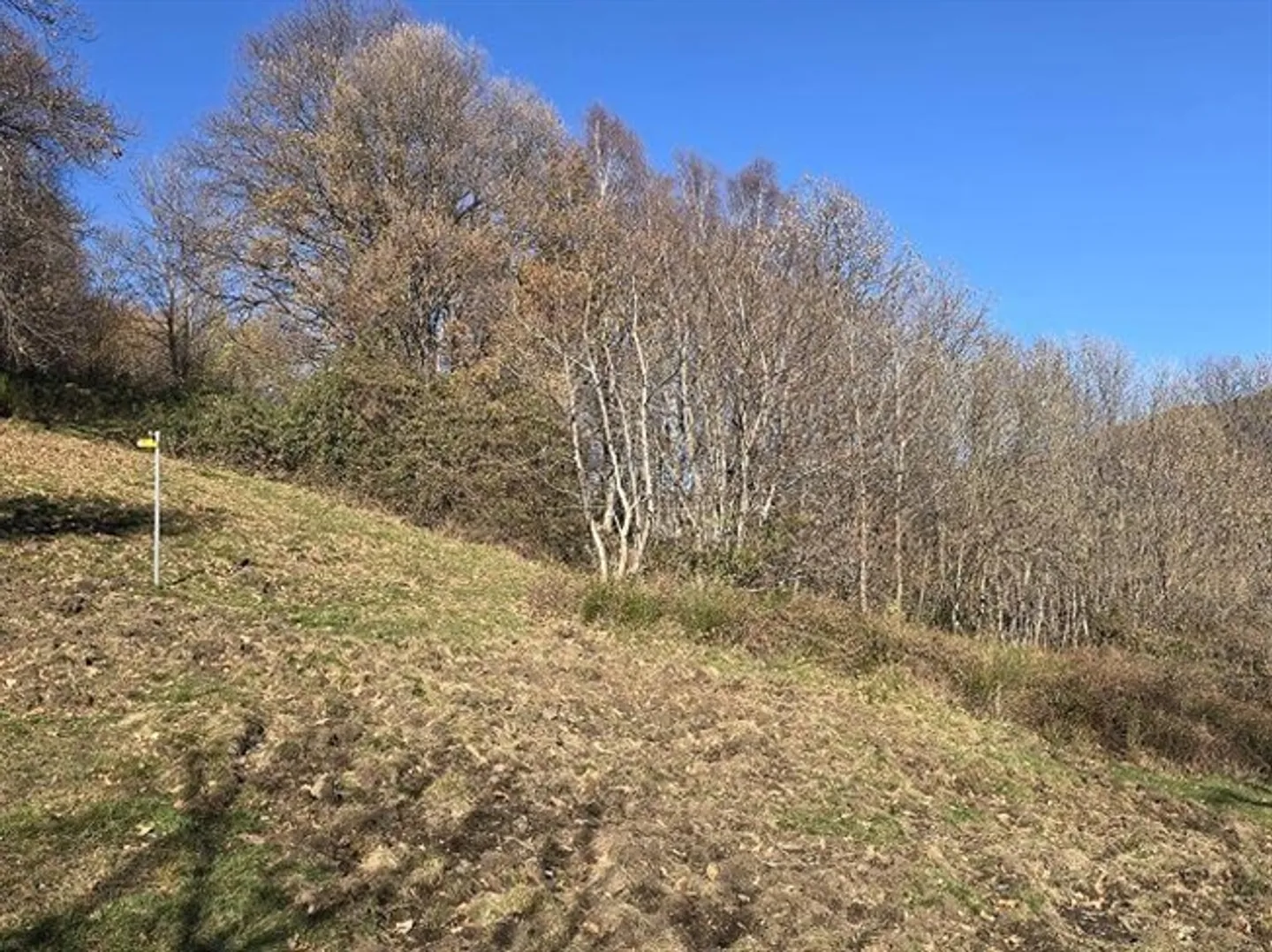 4-room rustic house to finish building with 5 ha of land - Photo 16 of 20