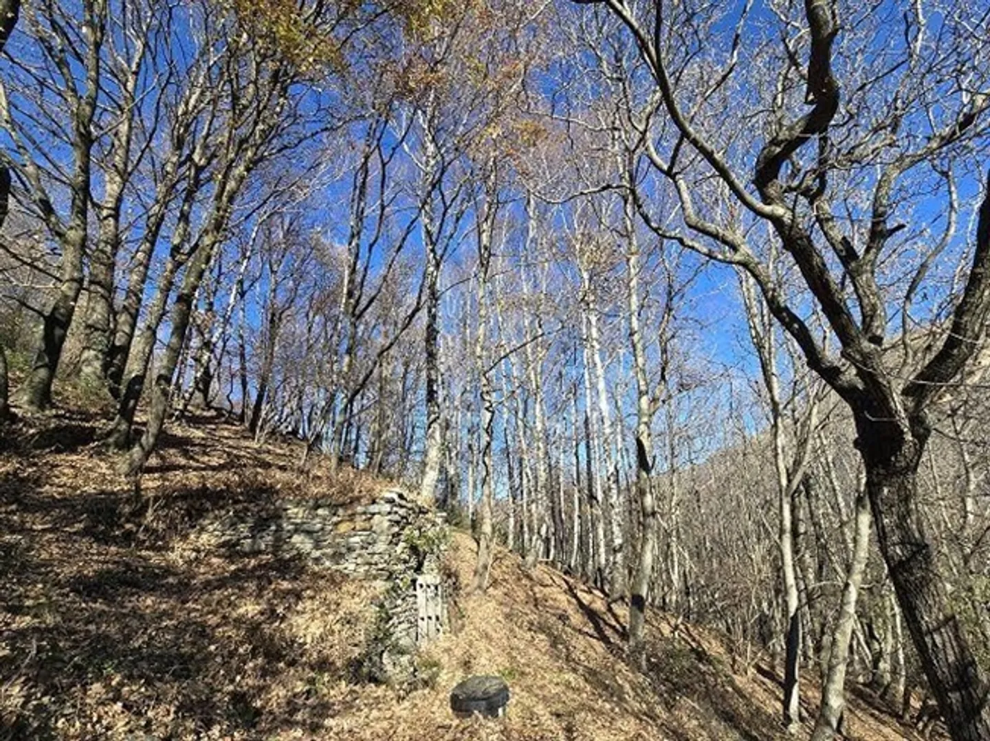 4-room rustic house to finish building with 5 ha of land - Photo 19 of 20