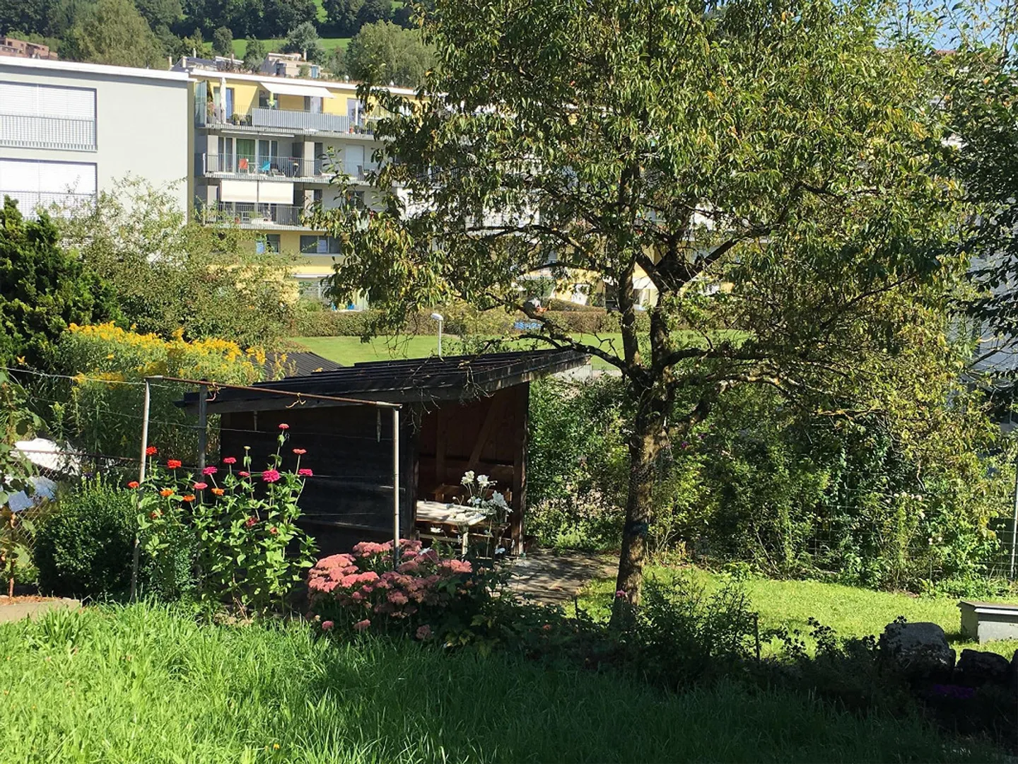 Charmante maison individuelle ou maison multifamiliale avec potentiel dans un grand jardin - Photo 16 sur 18