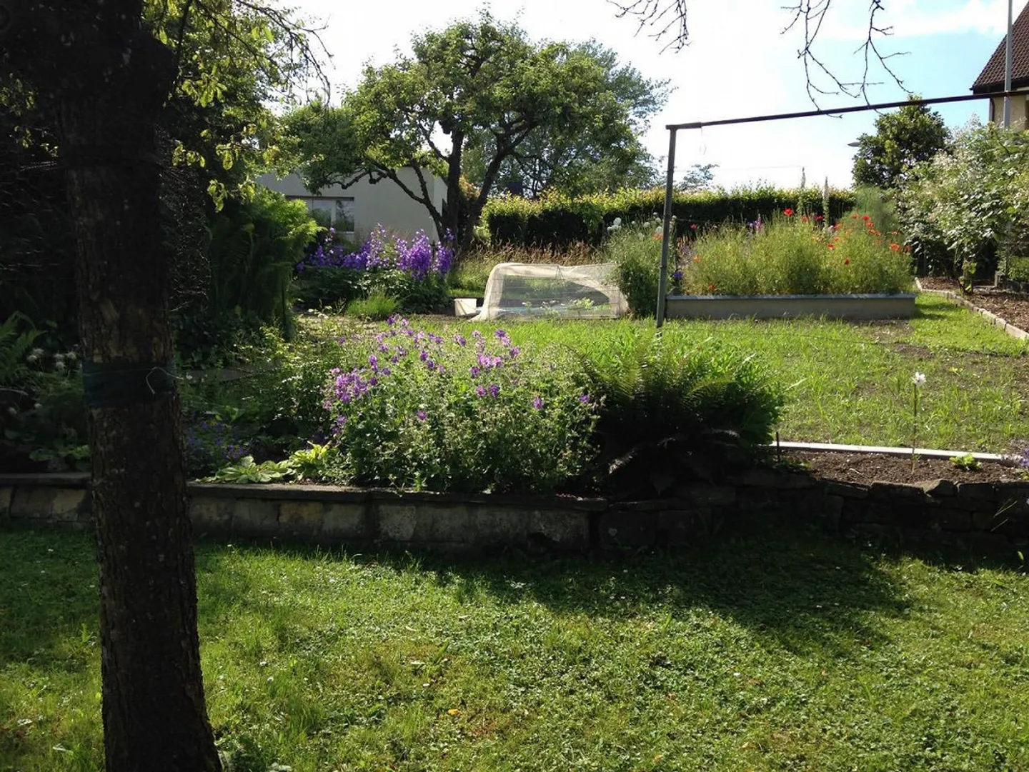 Charmante maison individuelle ou maison multifamiliale avec potentiel dans un grand jardin - Photo 17 sur 18