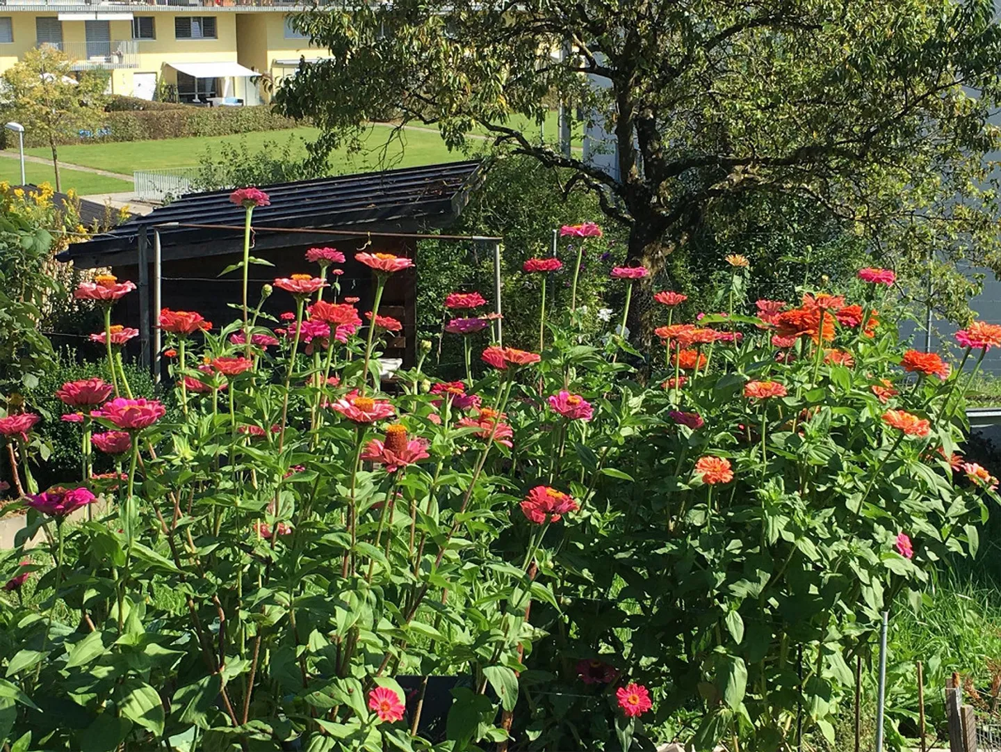 Charmante maison individuelle ou maison multifamiliale avec potentiel dans un grand jardin - Photo 18 sur 18